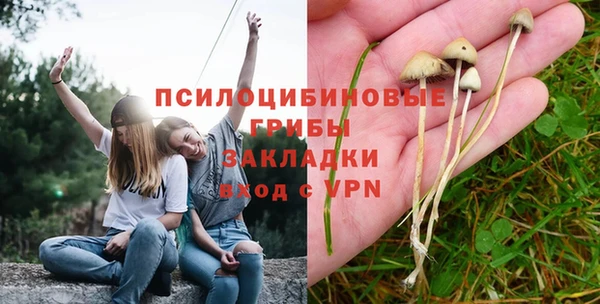 гидропоника Заводоуковск