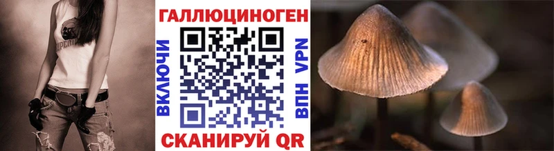 Псилоцибиновые грибы мицелий  Новый Уренгой 