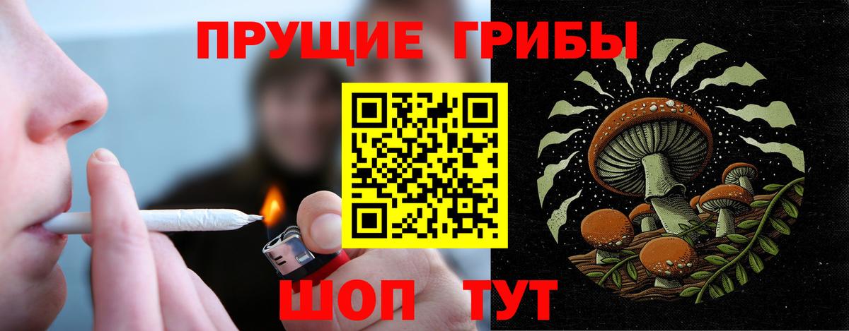 Псилоцибиновые грибы прущие грибы  Псилоцибиновые грибы Psilocybe  Вход с VPN  Новый Уренгой 